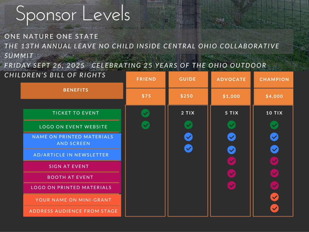 2025 LNCI Sponsor Levels